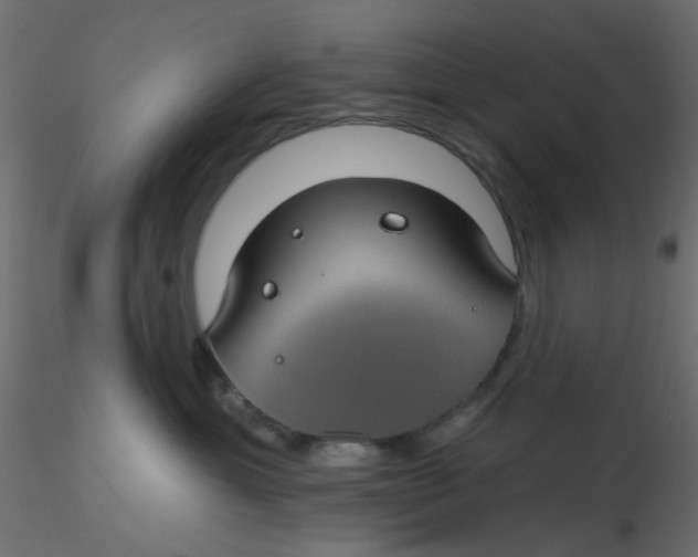 X0000116610429200912312122