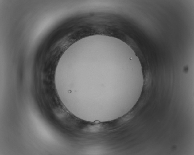 X0000116610430200912312122