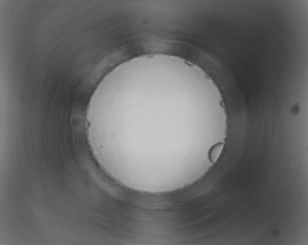 X0000116610431200912312122