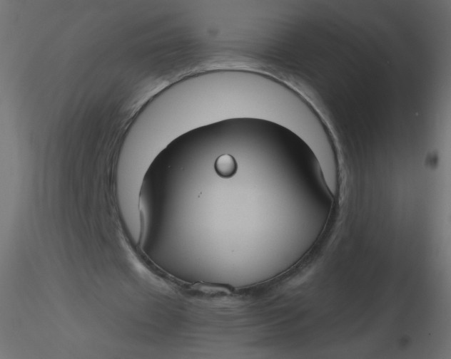 X0000116610433200912312121