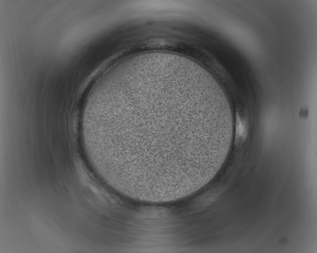 X0000116610435200912312121