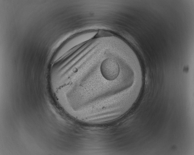 X0000116610436200912312121