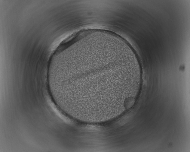 X0000116610437200912312121