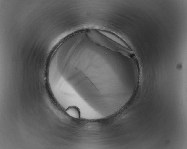 X0000116610438200912312121