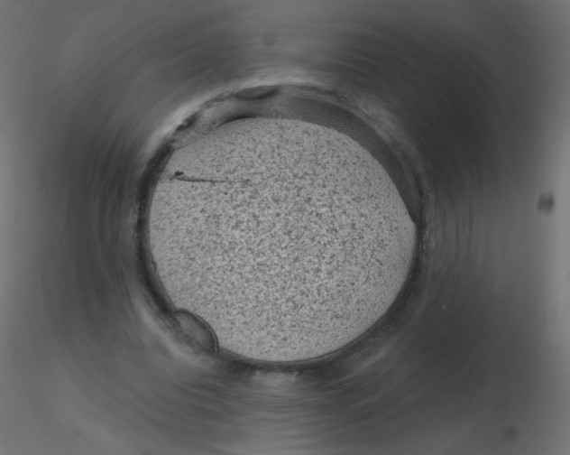 X0000116610440200912312121