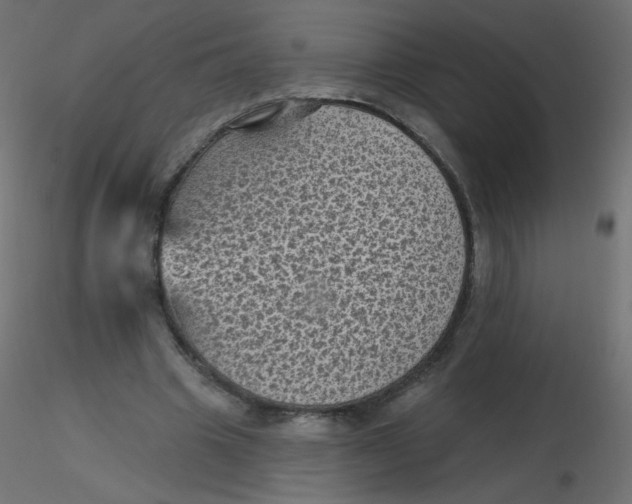 X0000116610441200912312121