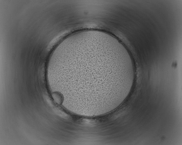 X0000116610442200912312121