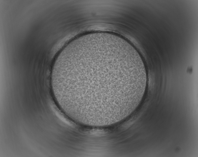 X0000116610445200912312121