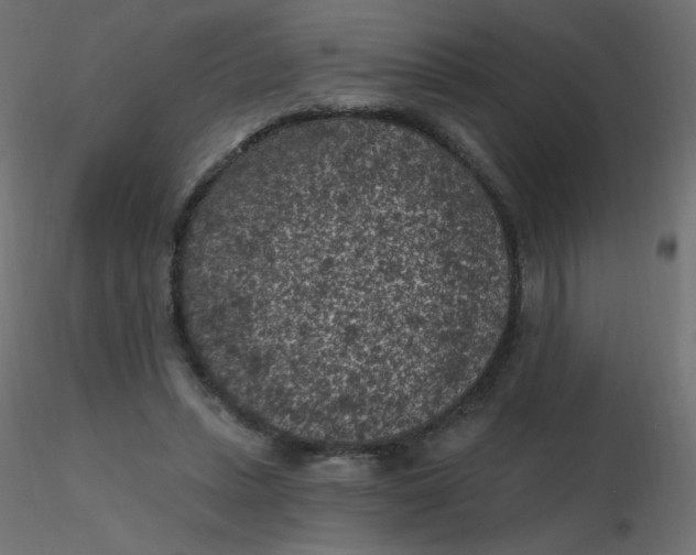 X0000116610447200912312121