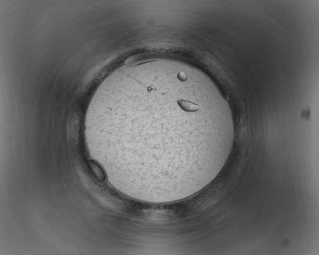 X0000116610448200912312121