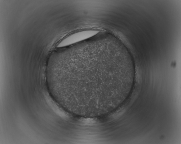 X0000116610449200912312121