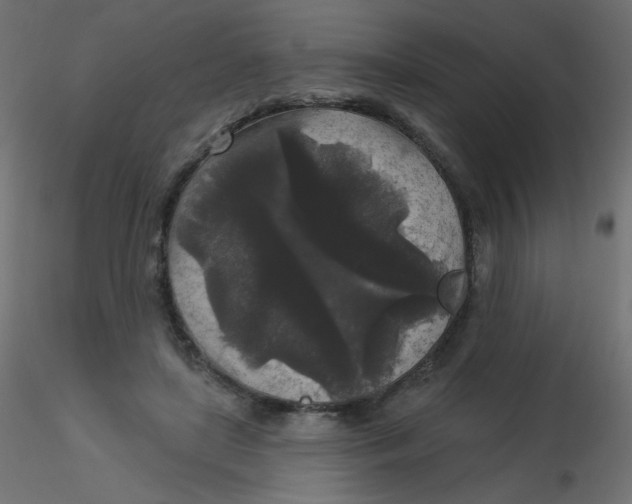 X0000116610451200912312121