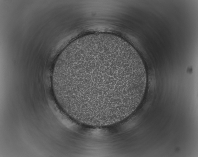 X0000116610453200912312121