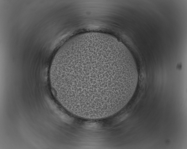 X0000116610454200912312121