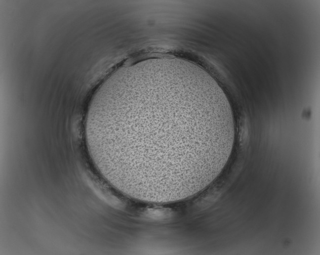 X0000116610455200912312121