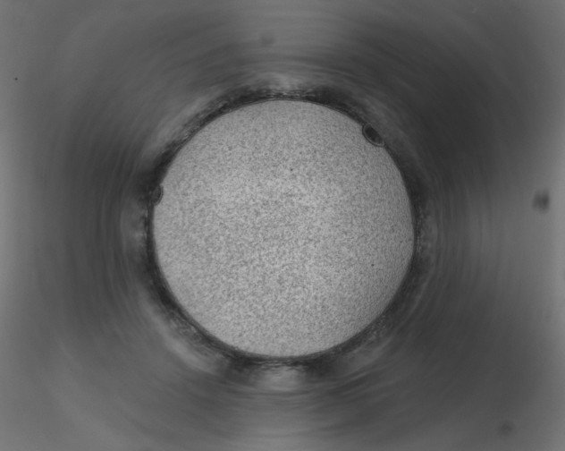 X0000116610456200912312121