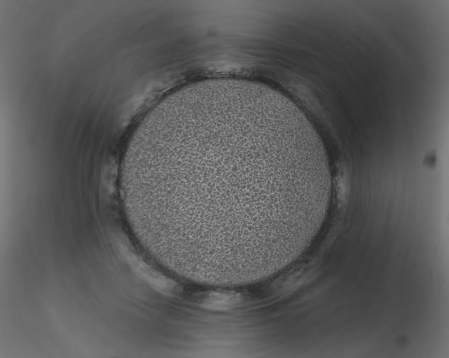 X0000116610458200912312121