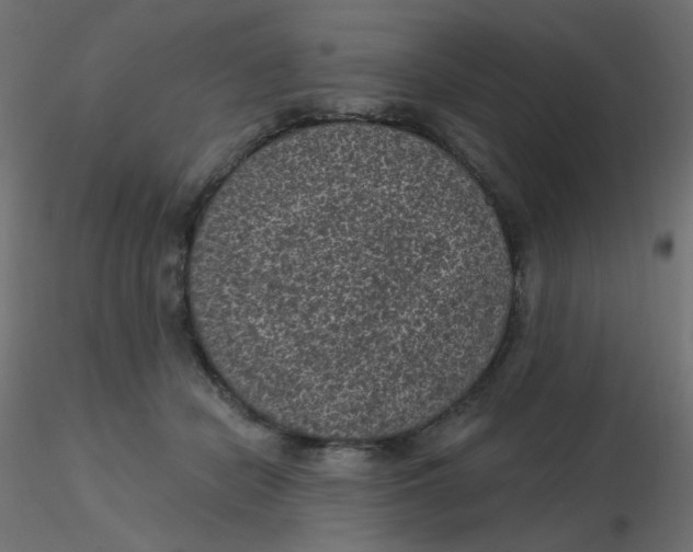 X0000116610462200912312121