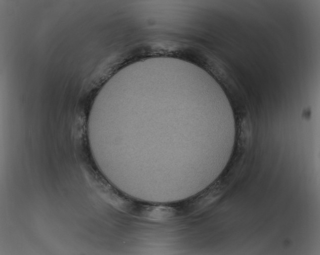 X0000116610463200912312121