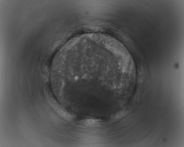 X0000116610465200912312121