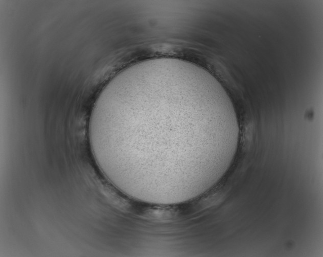 X0000116610466200912312121