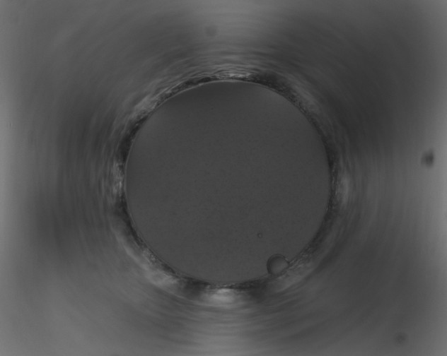 X0000116610467200912312121