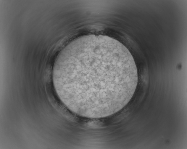 X0000116610468200912312121