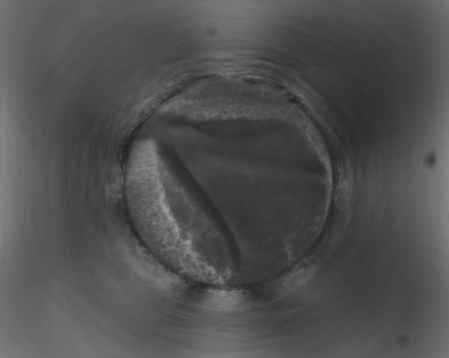 X0000116610469200912312121