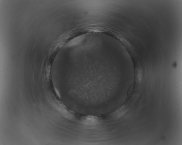 X0000116610475200912312122