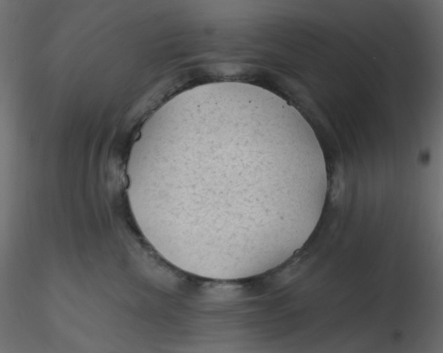 X0000116610476200912312122