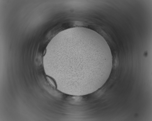 X0000116610478200912312122