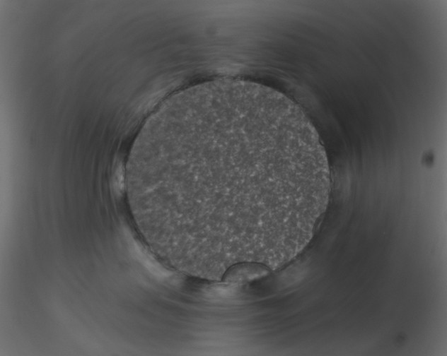 X0000116610479200912312122