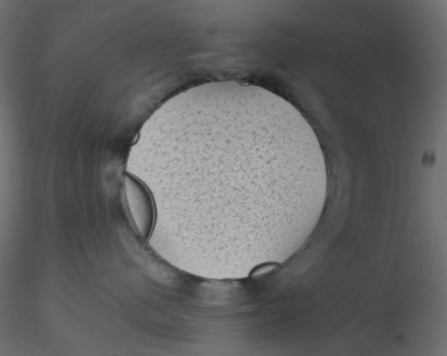 X0000116610480200912312122