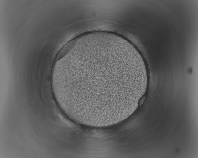 X0000116610481200912312121