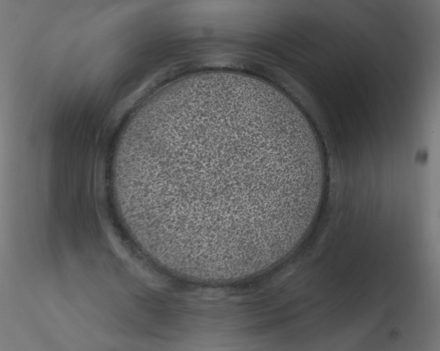 X0000116610482200912312121