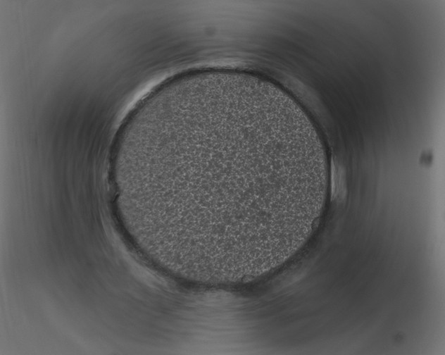 X0000116610483200912312121