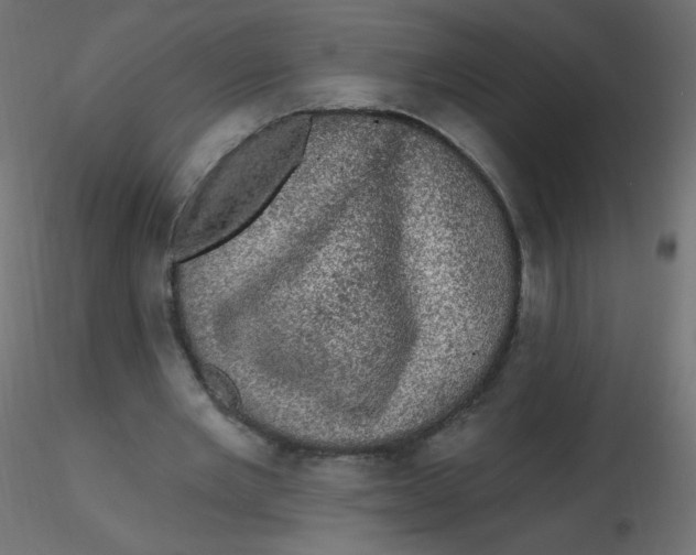 X0000116610485200912312121