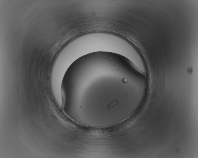 X0000116610489200912312121