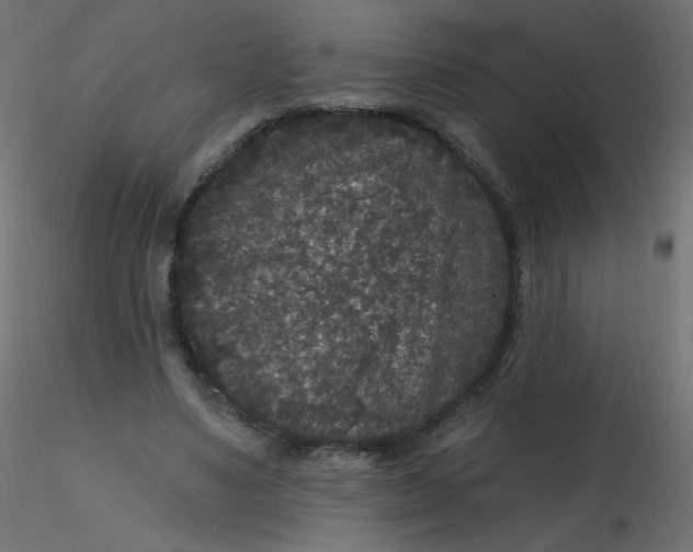 X0000116610491200912312121