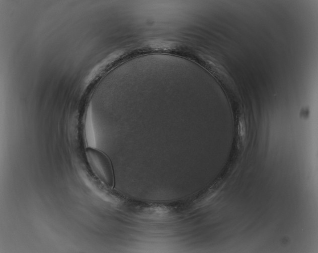 X0000116610492200912312121