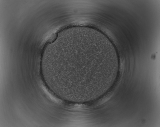 X0000116610493200912312121