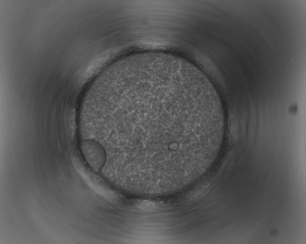 X0000116610494200912312121