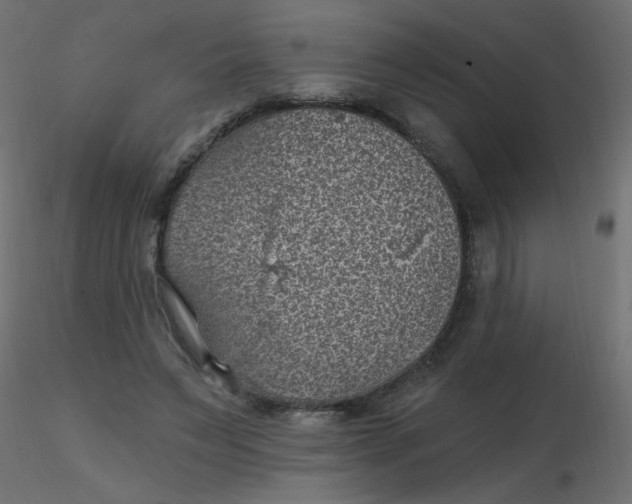 X0000116610495200912312121