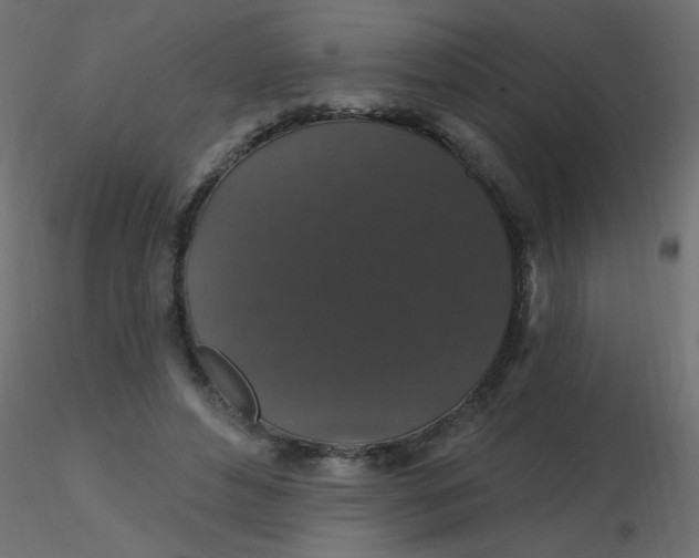 X0000116610496200912312121