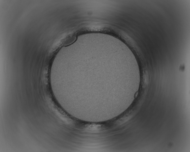 X0000116610497200912312121