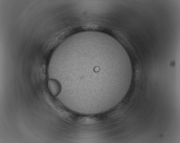 X0000116610498200912312121