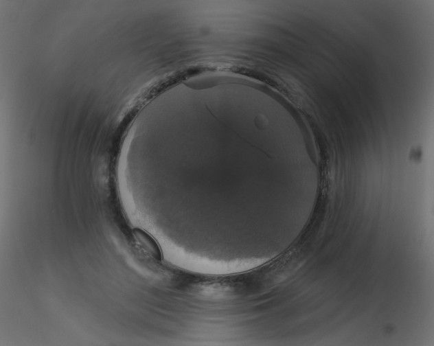 X0000116610500200912312121