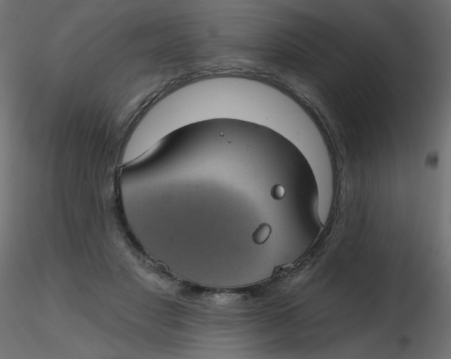 X0000116610501200912312121