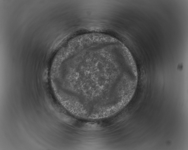 X0000116610502200912312121