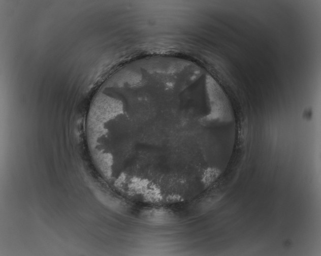 X0000116610503200912312121